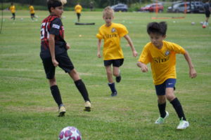Hawaii United Youth Soccer